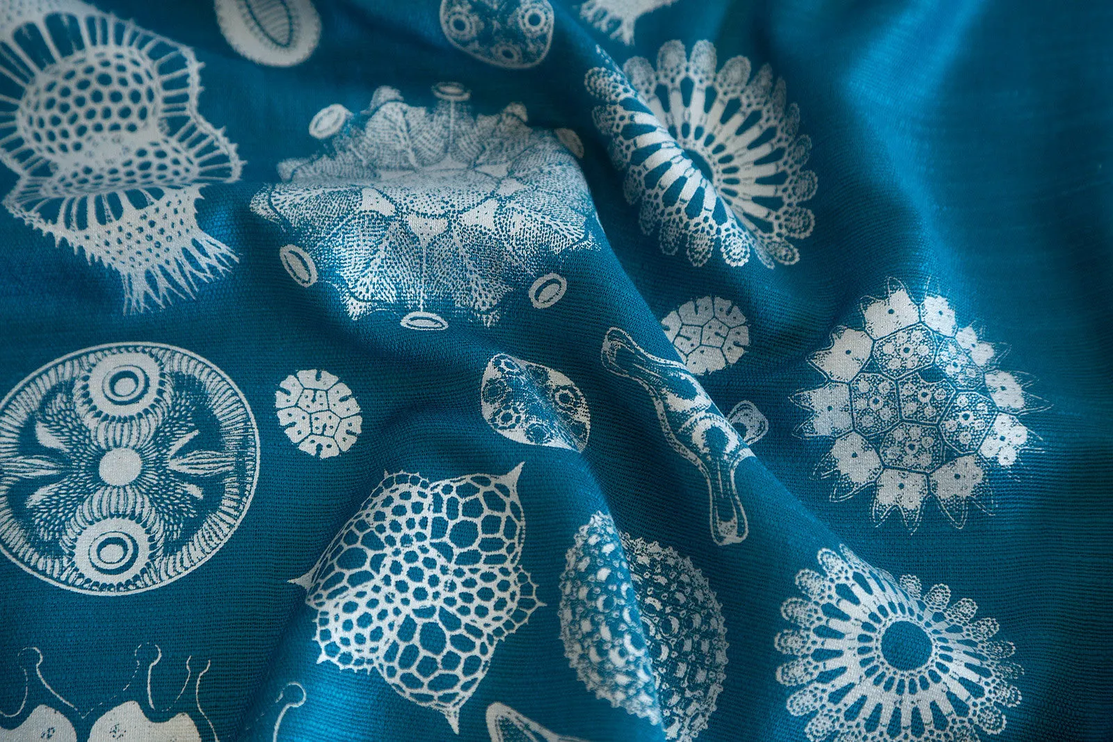 Diatoms Scarf, Silkscreened Bamboo Pashmina