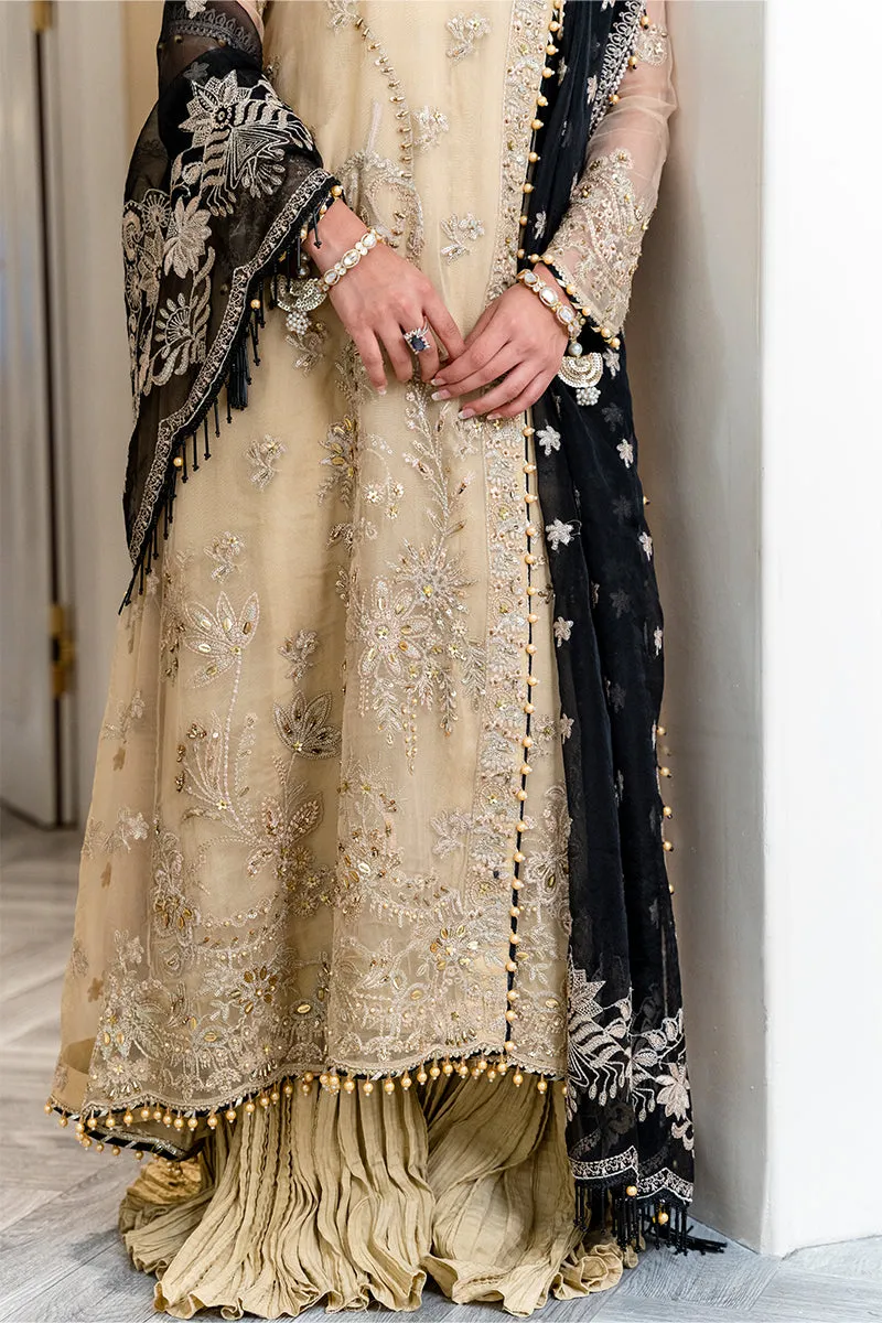 Rang Rasiya Ritzier Embroidered Wedding Series – NISHA