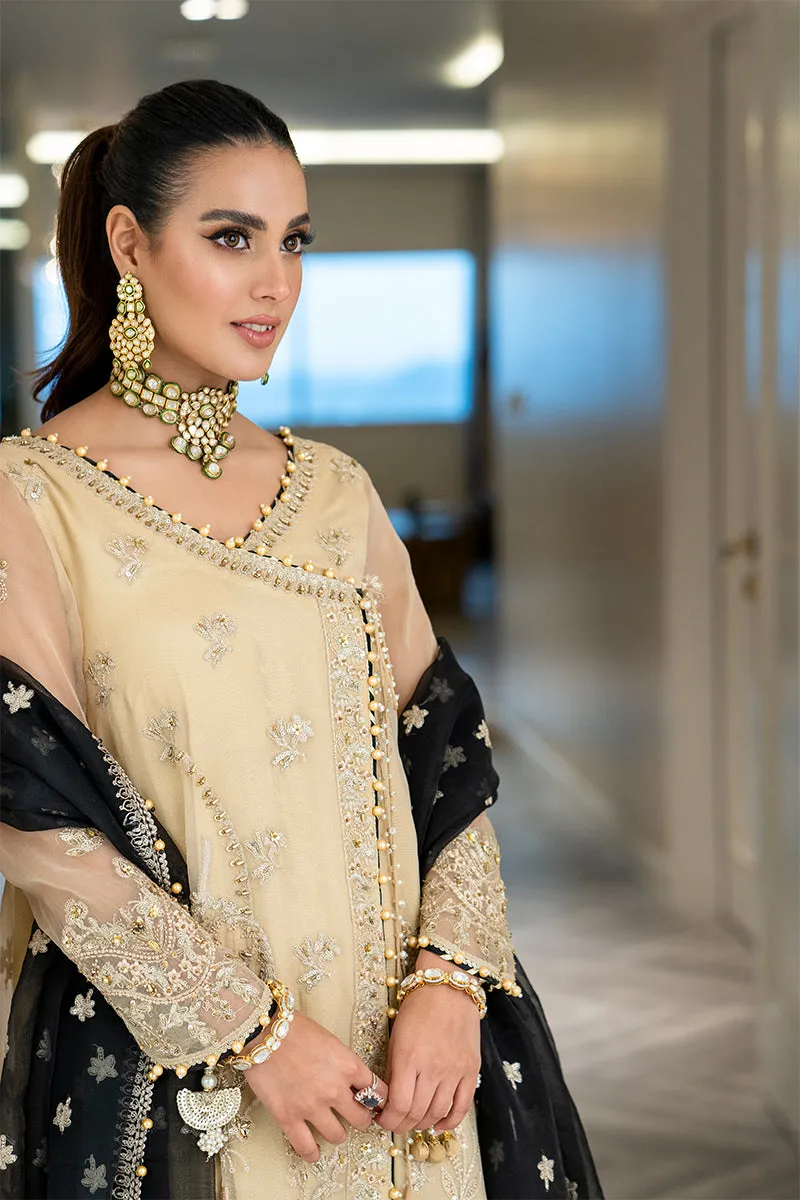 Rang Rasiya Ritzier Embroidered Wedding Series – NISHA