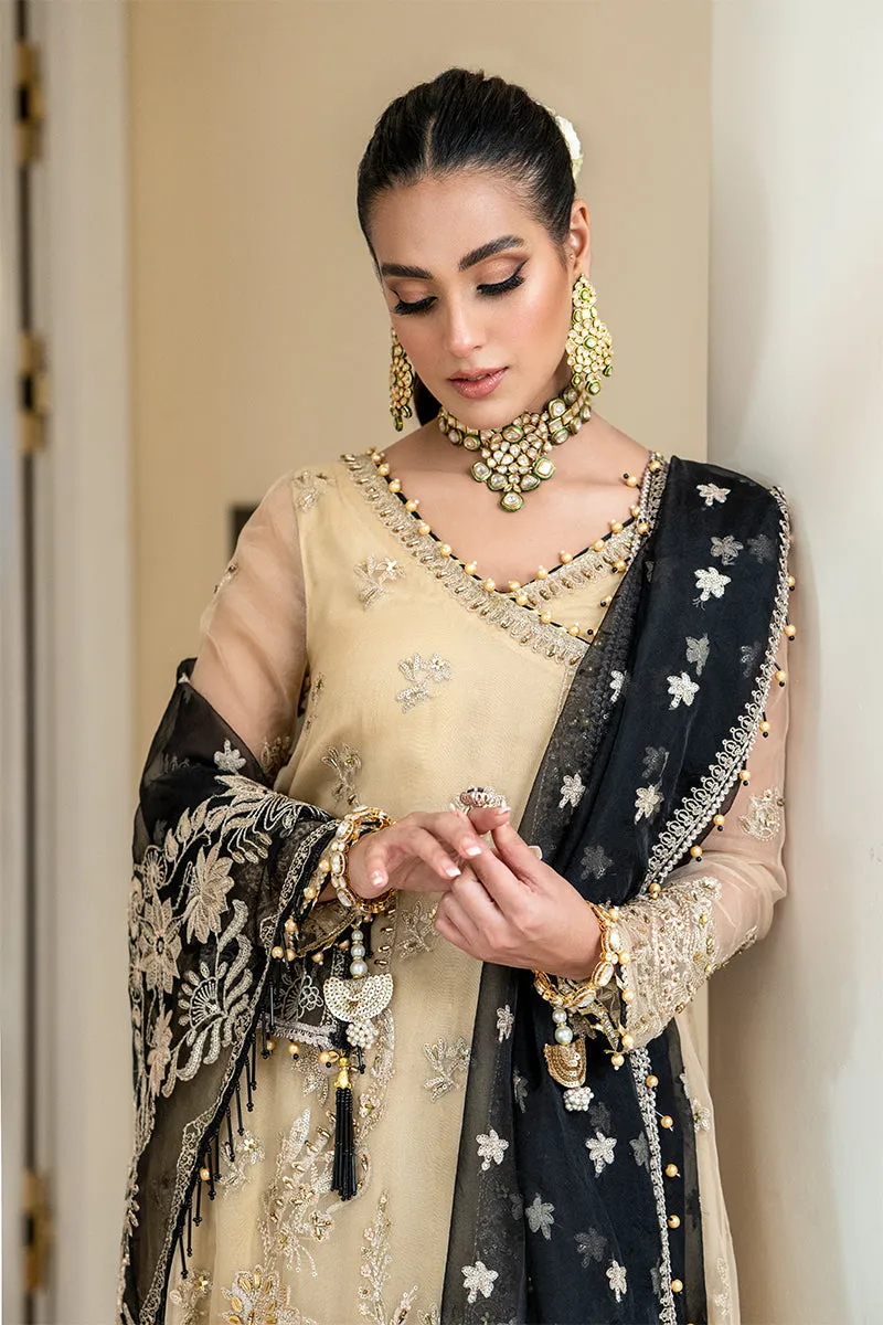 Rang Rasiya Ritzier Embroidered Wedding Series – NISHA