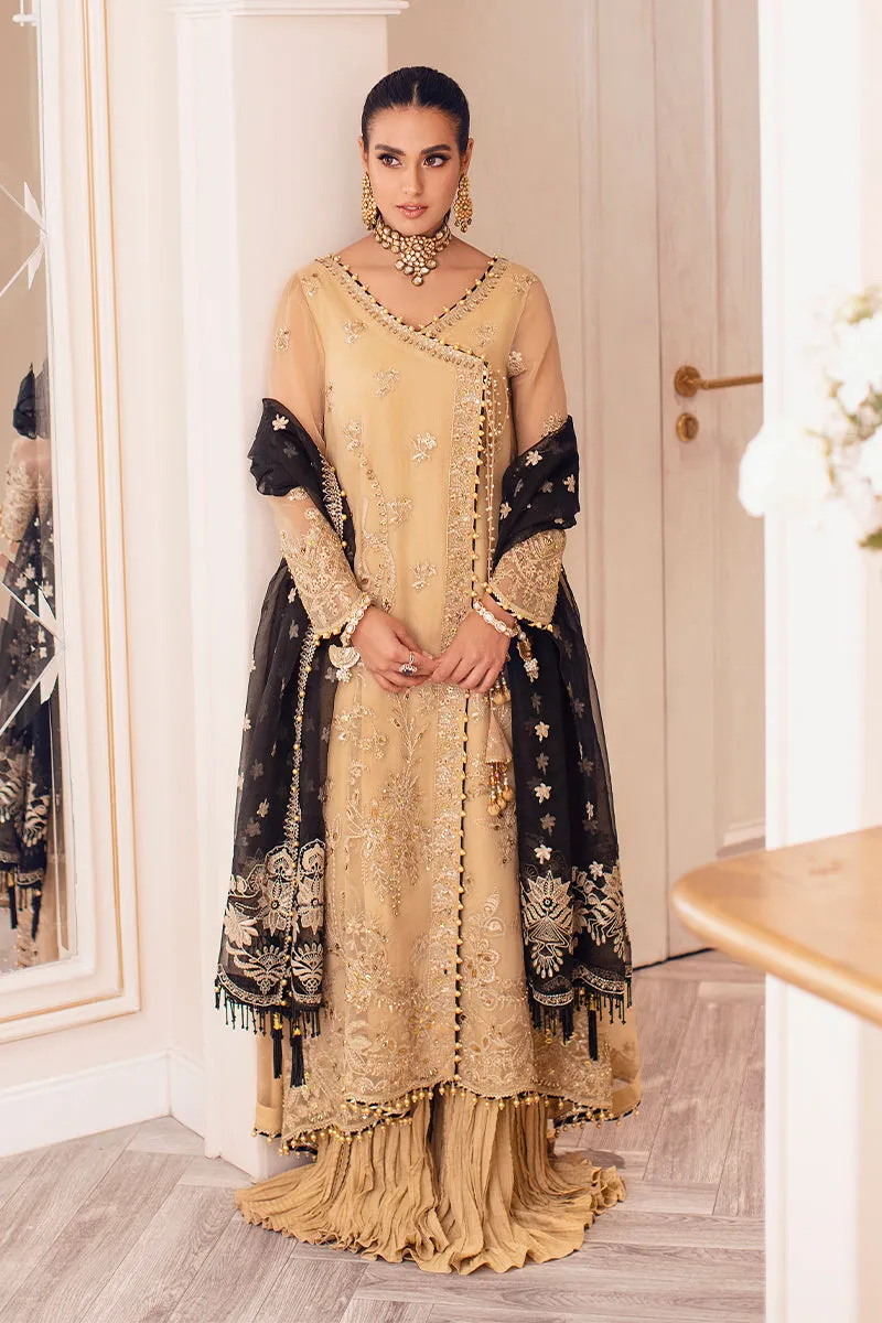 Rang Rasiya Ritzier Embroidered Wedding Series – NISHA