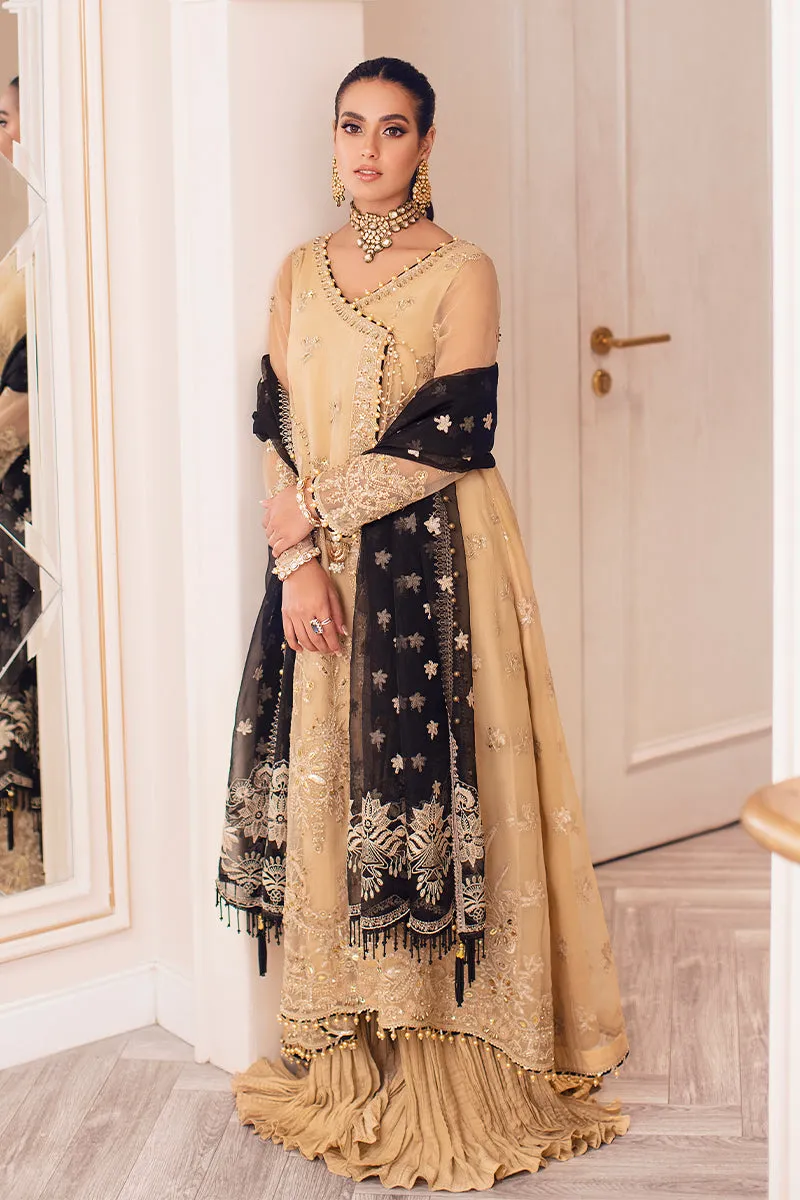 Rang Rasiya Ritzier Embroidered Wedding Series – NISHA