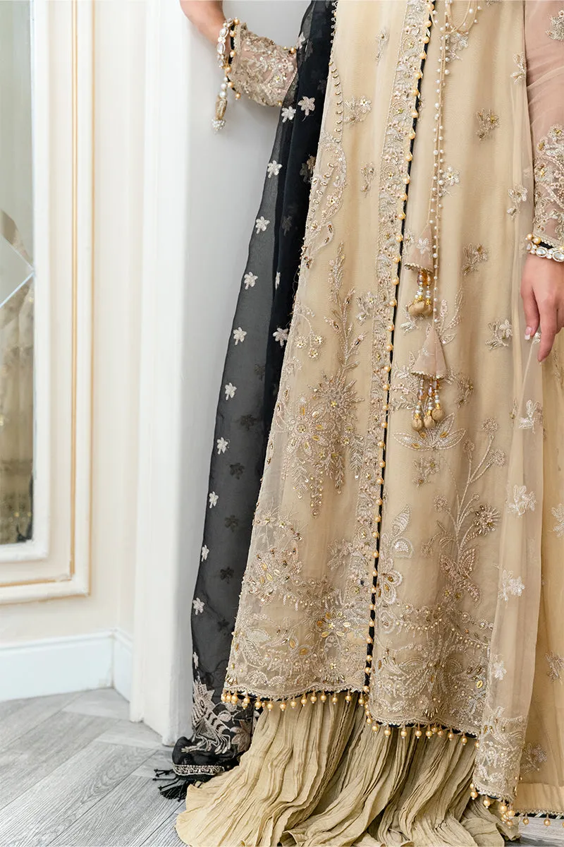 Rang Rasiya Ritzier Embroidered Wedding Series – NISHA