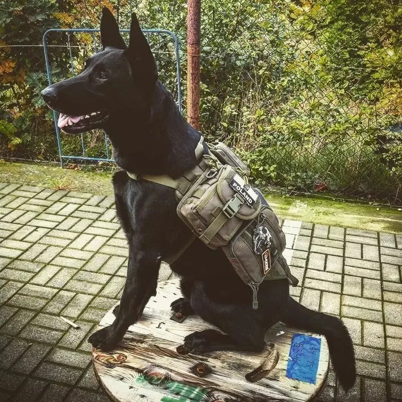 Tactical Dog Vest - Olive Drab